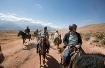 Half-day private tour riding on horseback around Cusco