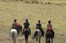 Half-day private tour riding on horseback around Cusco