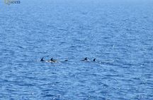 Luxury Ocean Queen half-day Cruise with Lunch in Ayia Napa
