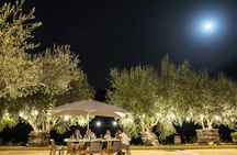 Tenuta Valle delle Ferle Wine and Food Tasting in Caltagirone