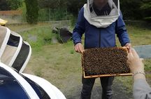 Honey extraction workshop with honey tasting in Zafferana Etnea