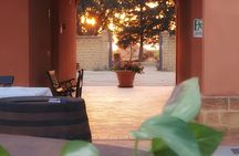 Grape picking and breakfast at the winery in Menfi