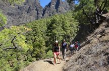 Caldera de Taburiente National Park Hiking Tour