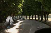 Shore Excursion from Livorno to Pisa and Lucca with City Tour