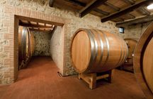Wine Tasting Small Group Tour with Lunch in Brunello
