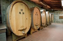 Wine Tasting Small Group Tour with Lunch in Brunello