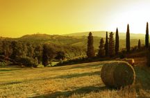 Sunset Wine Tour from Siena to Chianti with Dinner