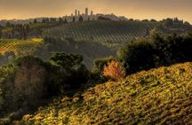 Sunset Wine Tour from Siena to Chianti with Dinner