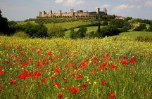 Sunset Wine Tour from Siena to Chianti with Dinner