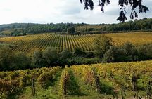 Small Group Chianti Wine Tour from Siena with Lunch