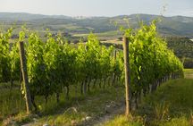 Small Group Chianti Wine Tour from Siena with Lunch