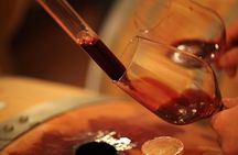 Small Group Chianti Wine Tour from Siena with Lunch