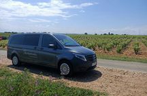 Full-day guided tour to Bandol wine AOP and Cassis