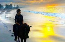 Bali horse riding experience and coffe plantation visit