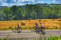 Tuscany Bike Tour through Chianti Hills with Wine Tasting