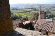 Tuscany Bike Tour through Chianti Hills with Wine Tasting