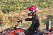 Quad Bike along Morocco's Atlantic Coast with BBQ Dinner and Transfer