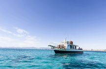 Superman Boat Tour In Mallorca