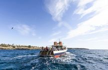Superman Boat Tour In Mallorca