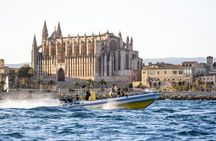 Discovery Speedboat Experience in Mallorca