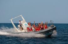 Discovery Speedboat Experience in Mallorca
