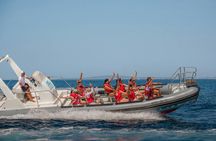 Discovery Speedboat Experience in Mallorca
