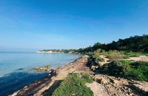 Aegina Island Day Tour from Athens by Bus and Boat