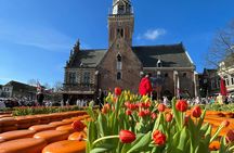 Dutch Cheese Market Experience in Edam, Gouda or Alkmaar