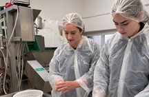 Semi Private Cheese Making & Tasting Experience