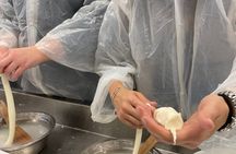 Semi Private Cheese Making & Tasting Experience