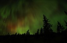 Banff's night sky adventure under the stars