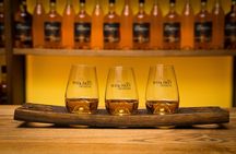 Irish Whiskey Museum Classic 1-Hour Tour and Tasting