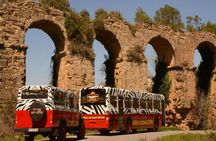 4x4 guided tour with boat cruise and lunch included from Side