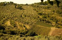 6-Hour E-Bike Tour from Florence to Chianti with Lunch and Tastings