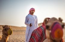 Half day desert safari from Abu Dhabi
