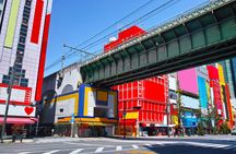 Meiji Shrine, Imperial Palace, Asakusa and Tokyo Skytree Entry