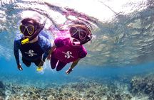 Snorkeling Tour by Boat in Mallorca