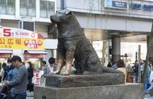 Shibuya night tour with local food tasting