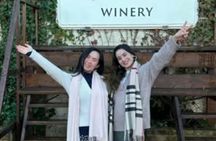 Pisa, San Gimignano, Siena and Chianti day trip with lunch