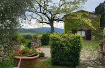Chianti wine tour with sampling of wines, oil and balsamic vinegar