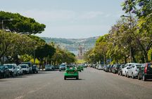 1-hour Spinach tour in Lisbon