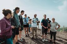 Pompeii and Vesuvius small group tour with tickets included