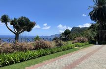 The enchanted east of Madeira's natural wonders 4x4 guided tour