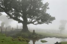 Madeira the untravelled west 4x4 guided tour