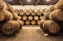 48 Hours Hop-On Hop-Off Bus Tour of Porto with Wine Cellars' Visit