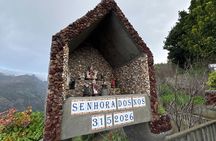 Wine tasting, mountains and coastal villages 4x4 tour in Madeira
