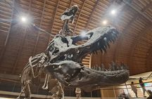 Excursion to the Jurassic Museum of Asturias from Oviedo