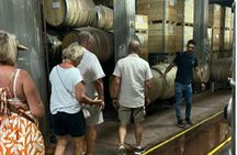 Etna Wine Tour and Tasting