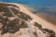 Ria Formosa Eco-Boat Guided Tour with a Marine Biologist