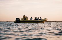 Ria Formosa Sunset Boat Tour with a Marine Biologist